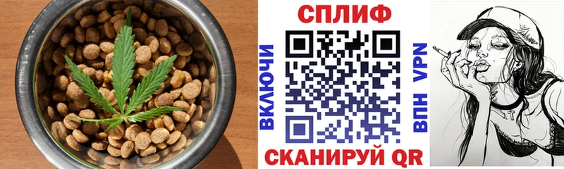 блэк спрут сайт  Грозный  Cannafood конопля 