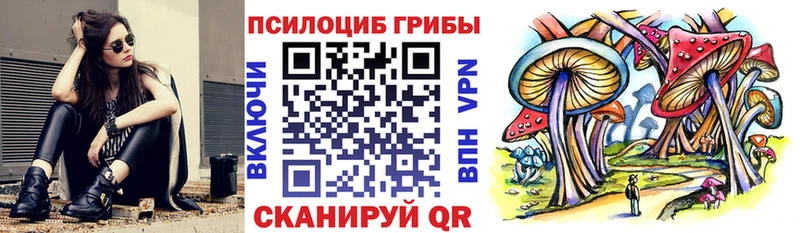 Галлюциногенные грибы GOLDEN TEACHER Грозный