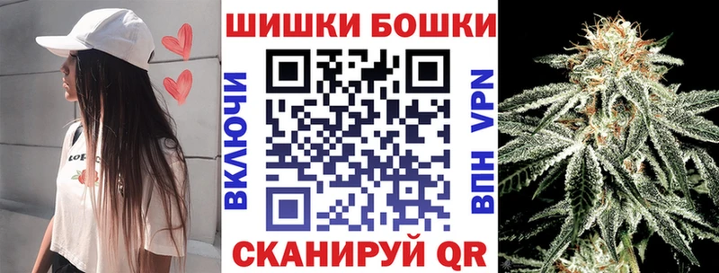 Бошки Шишки SATIVA & INDICA  купить наркоту  Грозный 